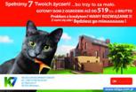 Zdjęcie inwestycji Stare Żerniki 2566