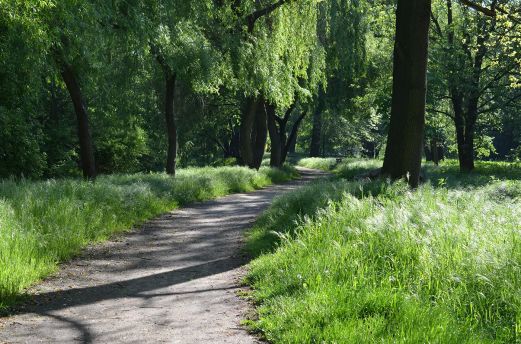 Okolica inwestycji Przystanek Tarnogaj 4