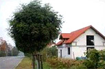 Zdjęcie inwestycji Stare Żerniki 6718